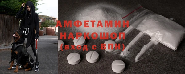 крисы Медвежьегорск