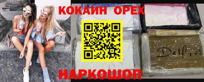 jwh Кингисепп