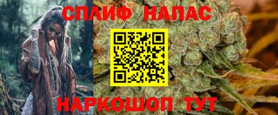jwh Кингисепп