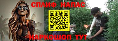 jwh Кингисепп