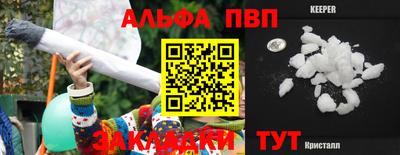 jwh Кингисепп