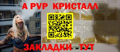 jwh Кингисепп